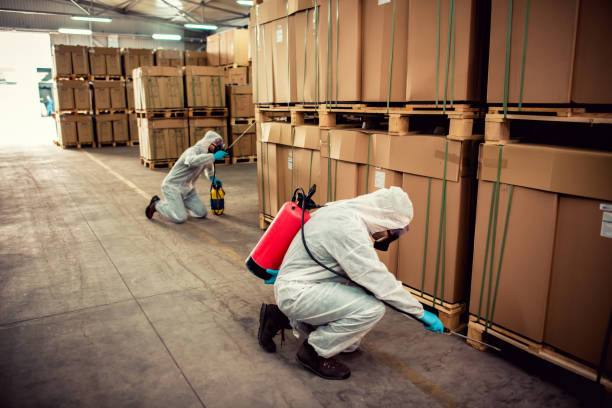 Best Pest Inspection Near Me  in Ventress, LA