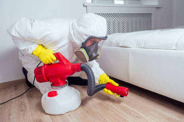 Best Bed Bug Extermination  in Ventress, LA