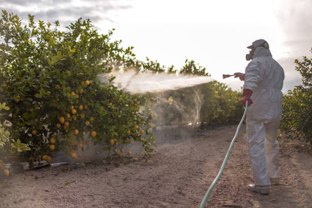Best Best Pest Control Companies  in Ventress, LA