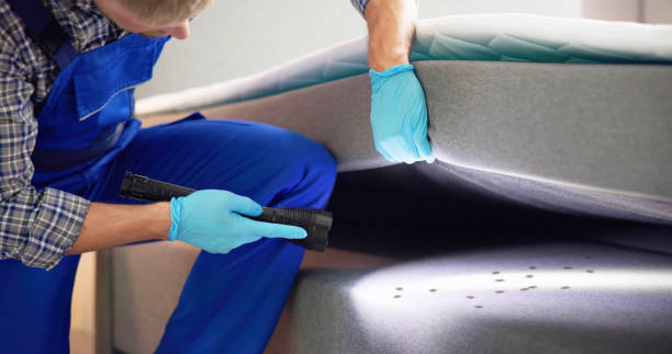 Best Termite Control Services  in Ventress, LA