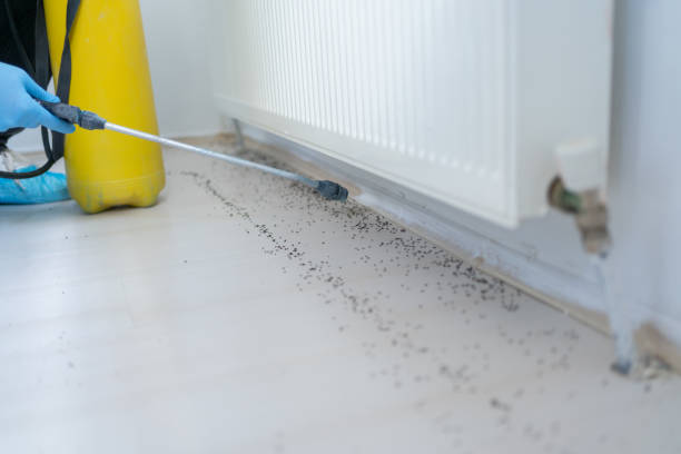 Best Insect Control  in Ventress, LA