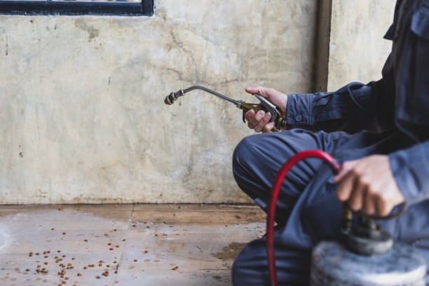 Best Best Pest Control Companies  in Ventress, LA
