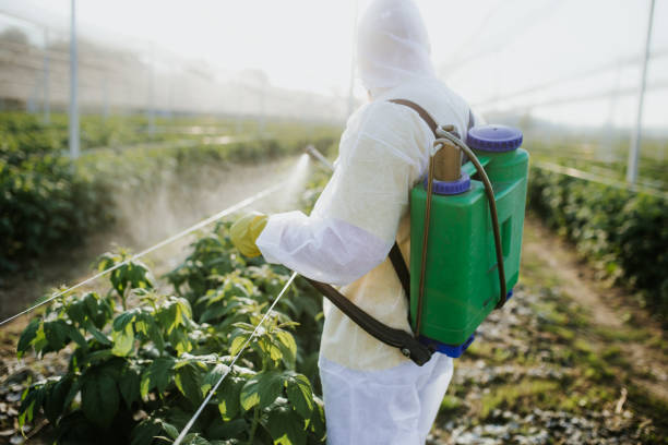 Best Cockroach Control Services  in Ventress, LA